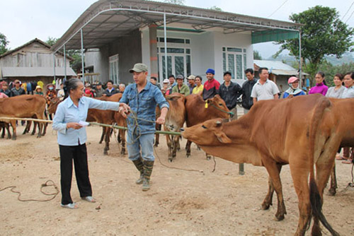 UBND tỉnh ban hành Kế hoạch thực hiện Chương trình hành động quốc gia "Không còn nạn đói ở Việt Nam đến năm 2025"