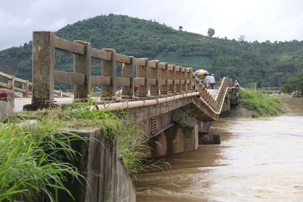 Đầu tư dự án Xây dựng mới Cầu Cây sung (Km78+400), cầu Trắng (Km79+700) và đoạn tuyến kết nối giữa hai cầu thuộc Tỉnh lộ 1.