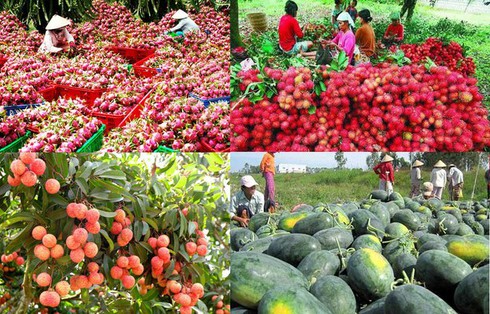 Tổng hợp số liệu hỗ trợ nông nghiệp trong nước và trợ cấp xuất khẩu nông sản giai đoạn 2014-2018 cho WTO.