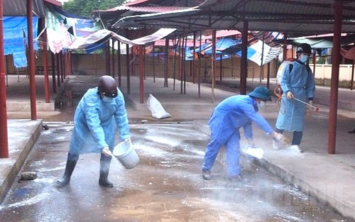 Triển khai Tháng vệ sinh, khử trùng, tiêu độc môi trường.