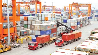 Triển khai Thông tư số 21/2019/TT- BCT ngày 08/11/2019 của Bộ Công Thương