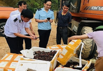 Triển khai Thông tư số 80/2019/TT-BTC ngày 15/11/2019 của Bộ Tài chính