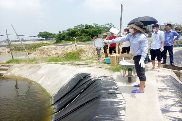 Quyết định ban hành Kế hoạch phòng, chống dịch bệnh thủy sản trên địa bàn tỉnh Đắk Lắk năm 2020