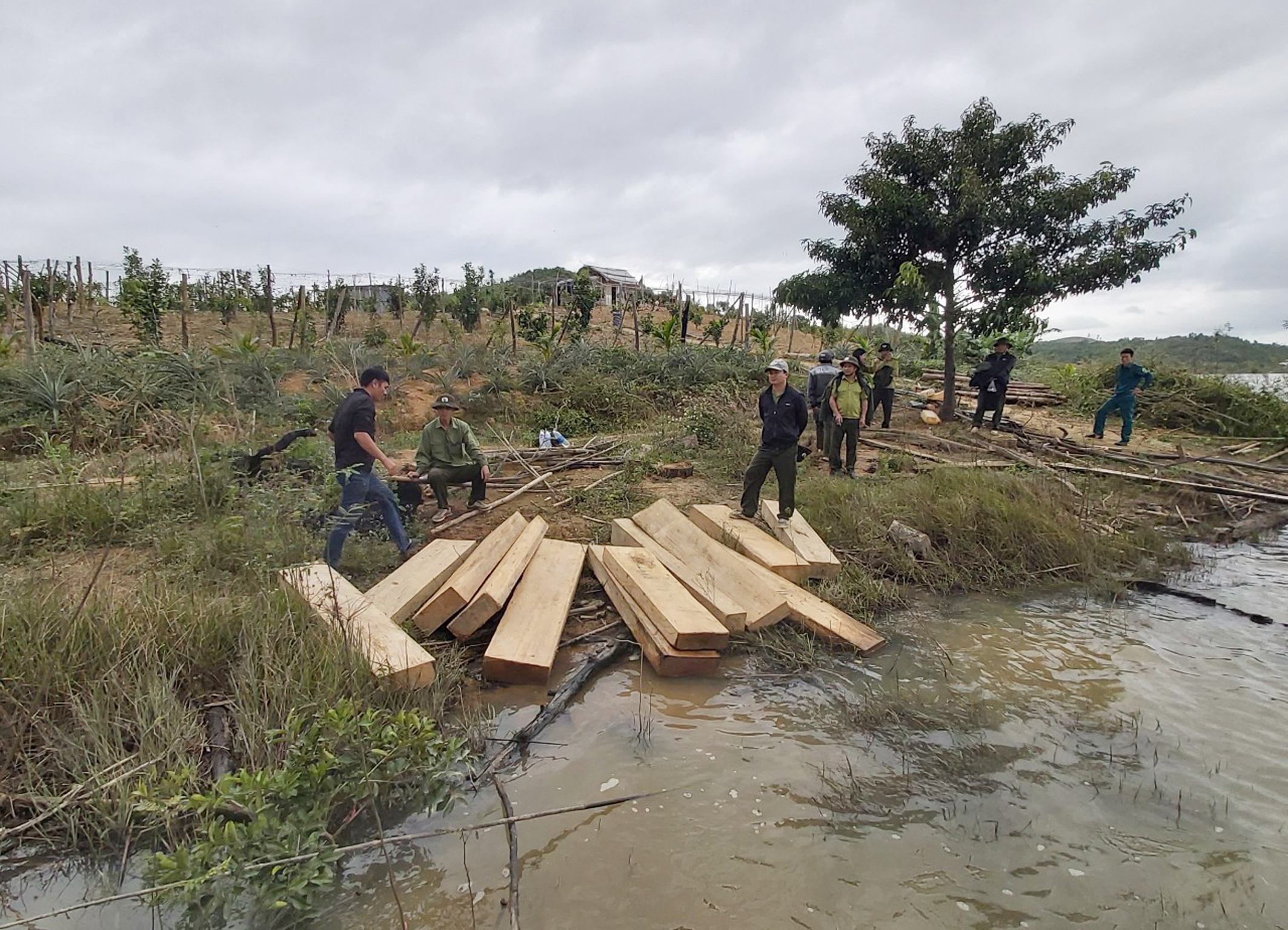 Bắt giữ một vụ tập kết, vận chuyển gỗ trái phép tại huyện Krông Bông