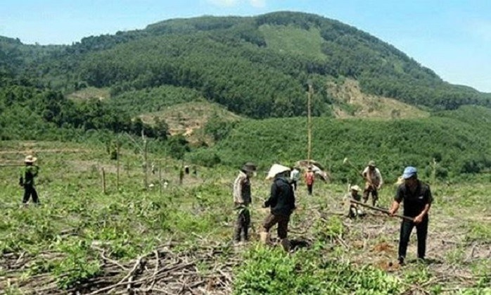 Tăng cường quản lý đất có nguồn gốc từ các nông, lâm trường quốc doanh