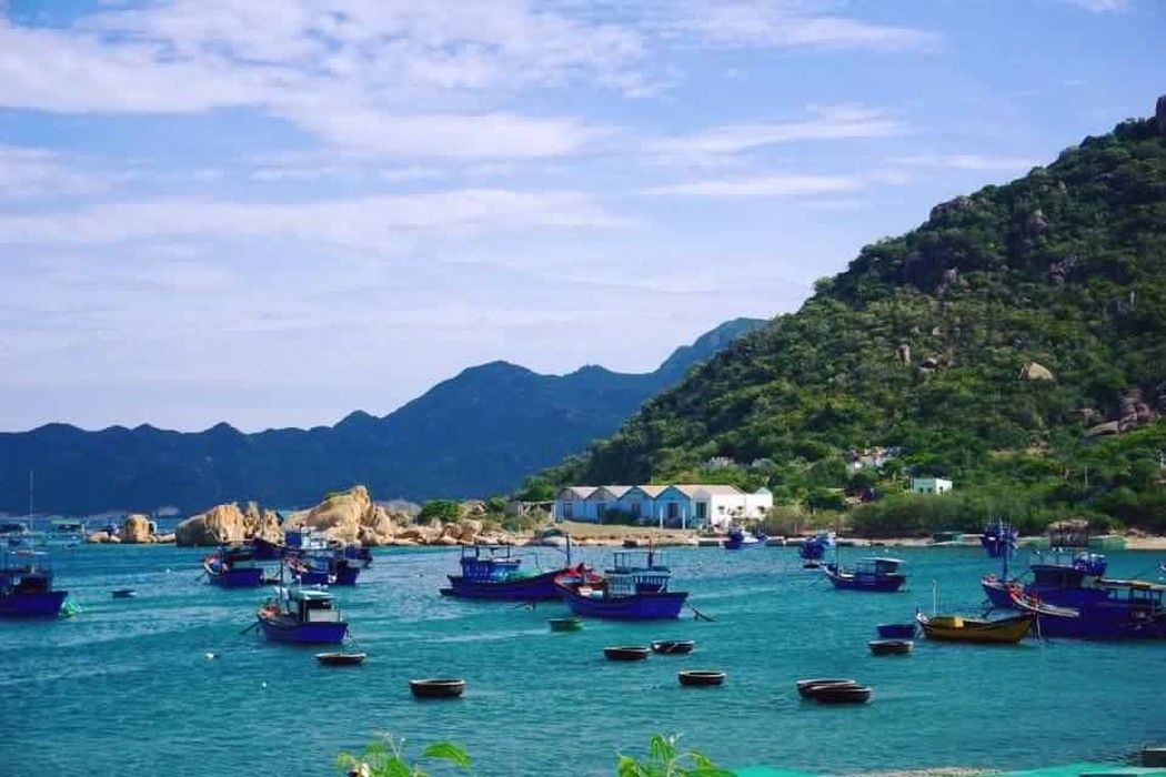 Thực hiện Quyết định số 28/QĐ-TTg ngày 07/01/2020 của Thủ tướng Chính phủ