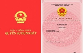 Công nhận quyền sử dụng đất Trường Tiểu học Ngô Mây, thành phố Buôn Ma Thuột