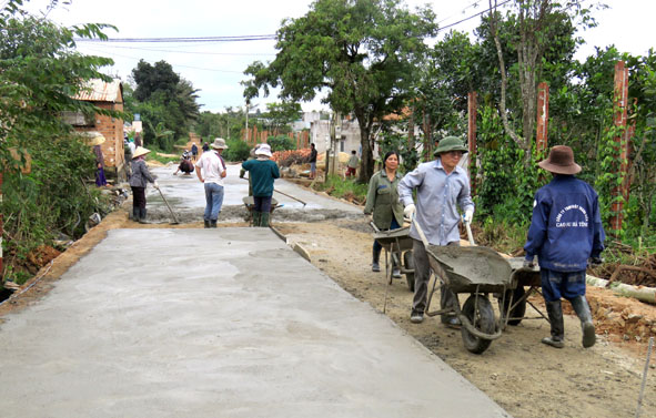 Tiếp tục thực hiện Nghị quyết Trung ương 7 về nông nghiệp, nông dân, nông thôn