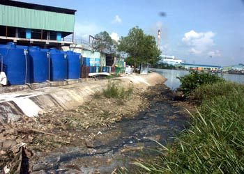 Triển khai thực hiện Quyết định số 09/2020/QĐ-TTg ngày 18/3/2020 của Thủ tướng Chính phủ