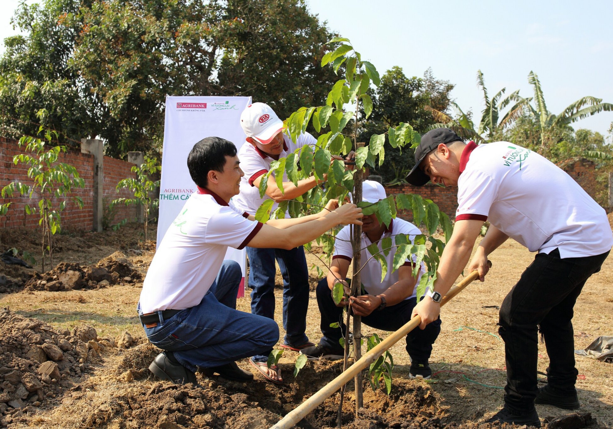 Agribank Krông Pắk hưởng ứng phong trào “Một triệu cây xanh - Thêm cây, thêm sự sống”