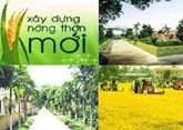 Đôn đốc đẩy nhanh tiến độ thực hiện Chương trình MTQG xây dựng nông thôn mới năm 2020