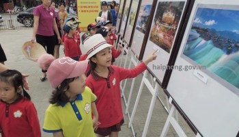 Kế hoạch triển khai Tháng hành động vì trẻ em năm 2020.