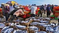 Chỉ thị số 09 về việc nghiêm cấm hành vi hủy diệt trong khai thác thủy sản trên địa bàn tỉnh Đắk Lắk