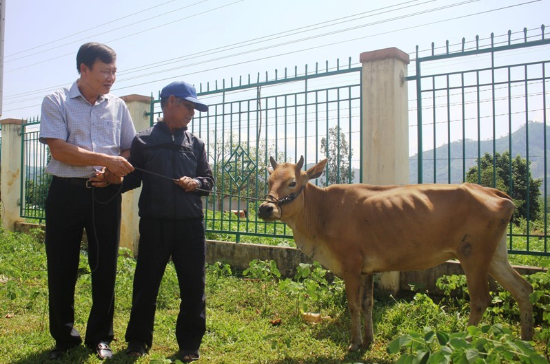 Trao tặng mô hình phát triển kinh tế cho người có công với cách mạng thuộc diện hộ nghèo trên địa bàn huyện Krông Bông