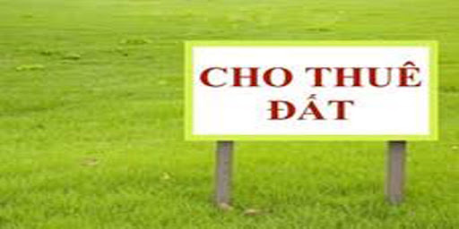 Cho phép Công ty TNHH Thương mại và Dịch vụ Khang Minh thuê đất tại xã Quảng Tiến, huyện Cư M’gar