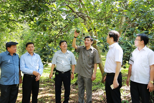 Secretary of Provincial Party Committee Bui Van Cuong works with WASI
