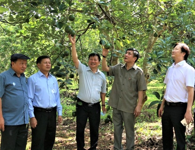 Hội chợ thương mại nông nghiệp trái cây Krông Pắc năm 2020
