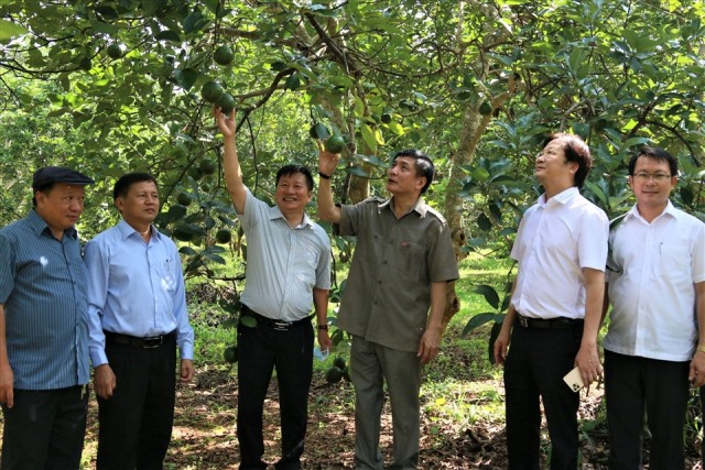 Triển khai ý kiến kết luận của Thường trực Tỉnh ủy về nhiệm vụ trọng tâm 3 tháng cuối năm 2020