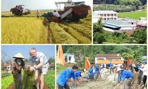 Triển khai Quyết định số 31/2020/QĐ-TTg ngày 29/9/2020 của Thủ tướng Chính phủ