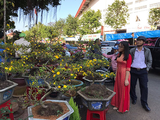 Chợ hoa Xuân Tân Sửu diễn ra từ ngày 15 đến 30 tháng Chạp