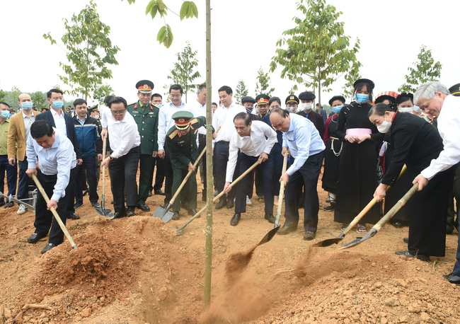 Thủ tướng phê duyệt đề án trồng một tỷ cây xanh trong 5 năm