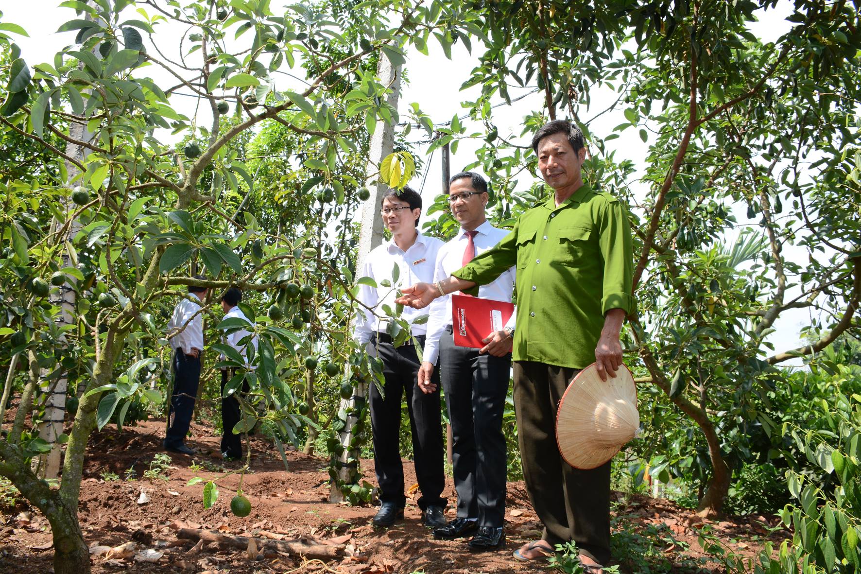 Agribank tỉnh Đắk Lắk: Kết quả sau 5 năm nỗ lực đưa Nghị định 55 đi vào cuộc sống