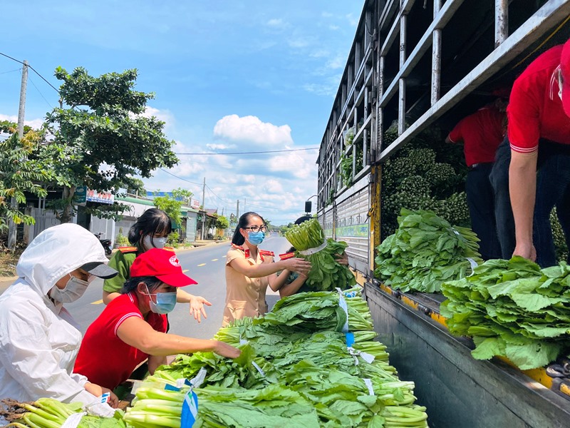 Hội Phụ nữ Công an tỉnh hỗ trợ 13 tấn rau sạch cho các bếp ăn tại TP. Hồ Chí Minh
