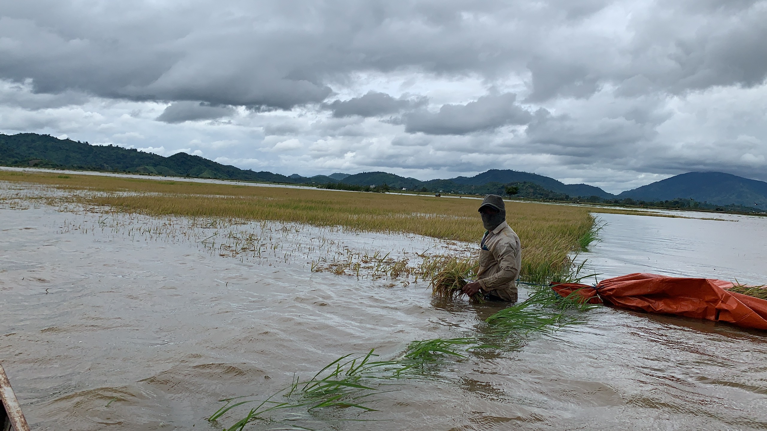 Đắk Lắk thiệt hại khoảng 157 tỷ đồng vì thiên tai