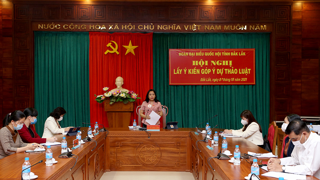 Đoàn đại biểu Quốc hội tỉnh tổ chức góp ý dự thảo Luật
