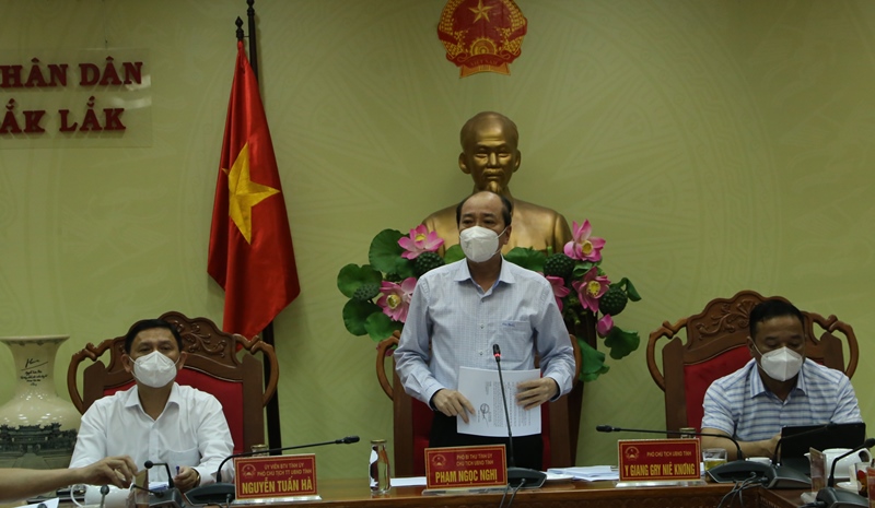 Phiên họp thành viên UBND tỉnh thông qua nội dung trình Kỳ họp thứ 3, HĐND tỉnh