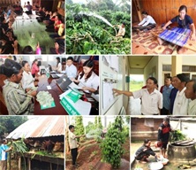 Triển khai Quyết định số 401/QĐ-TTg ngày 14/3/2016 của Thủ tướng Chính phủ