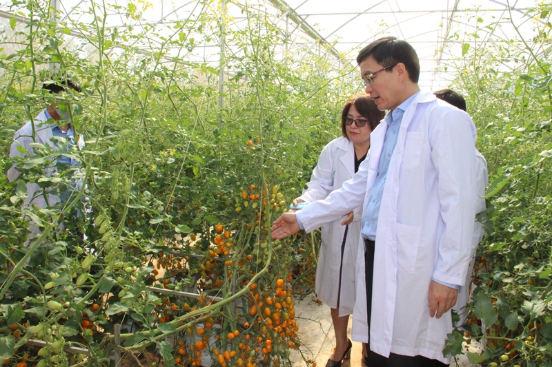 Bí thư Tỉnh ủy Nguyễn Đình Trung thăm, khảo sát mô hình nông nghiệp công nghệ cao