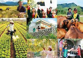 Kế hoạch thực hiện Chương trình Truyền thông về bình đẳng giới vùng đồng bào dân tộc thiểu số và miền núi đến năm 2030, giai đoạn I từ năm 2022 - 2025 trên địa bàn tỉnh