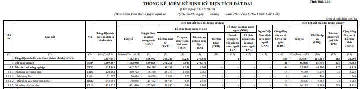 Quyết định công bố kết quả thống kê diện tích đất đai năm 2020 của tỉnh Đắk Lắk