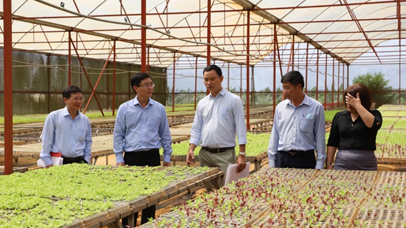 Đắk Lắk sẽ trao quyết định đầu tư cho 6 dự án tại Hội nghị xúc tiến đầu tư lĩnh vực nông nghiệp năm 2022