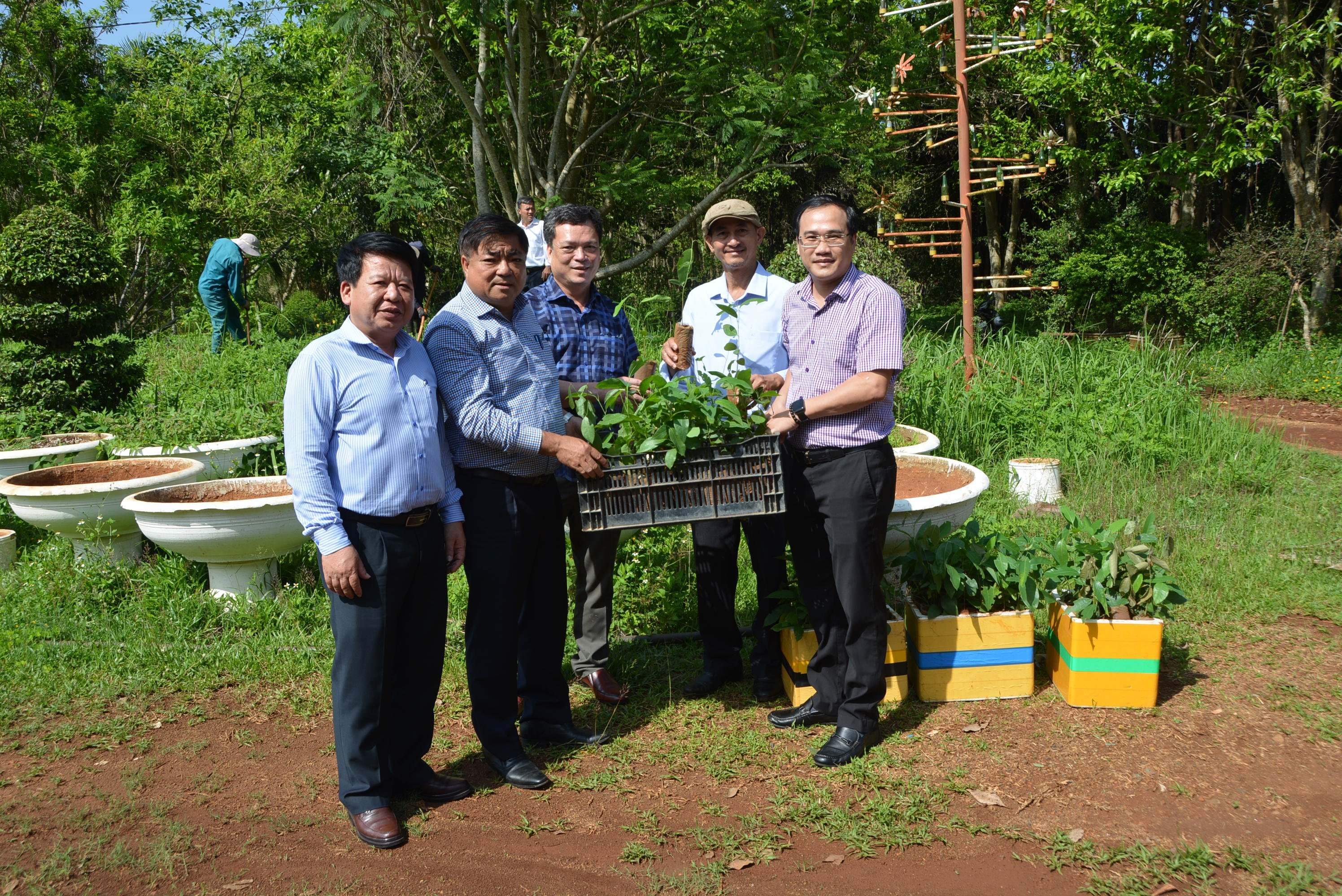 Huyện Lắk trao tặng 200 cây Kơ nia cho TP.Buôn Ma Thuột