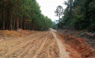 Điều chỉnh nguồn vốn Ngân sách Trung ương hỗ trợ có mục tiêu năm 2015