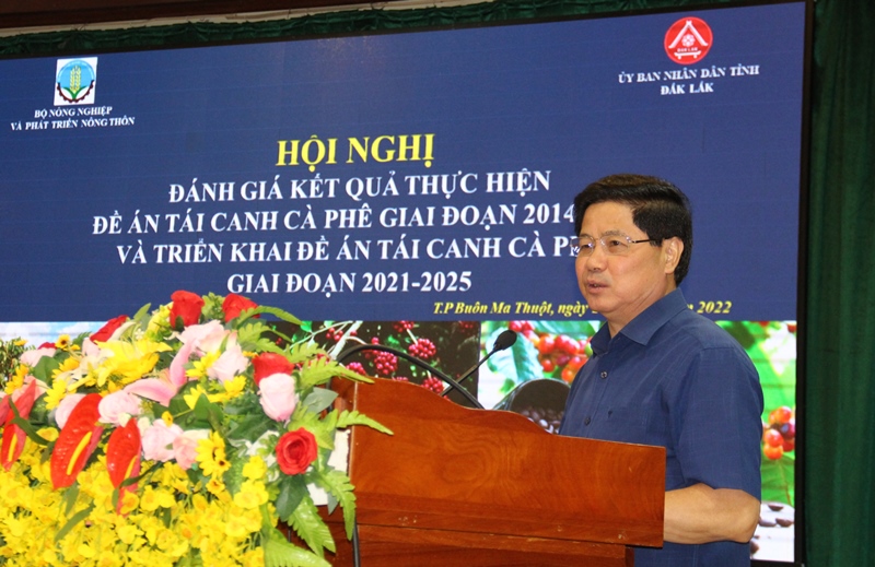 Bộ Nông nghiệp và Phát triển nông thôn triển khai Đề án tái canh cà phê giai đoạn giai đoạn 2021-2025