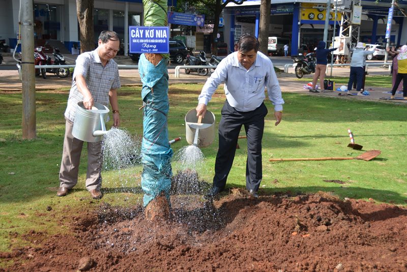 Huyện Lắk trao tặng thêm 203 cây Kơ nia cho thành phố Buôn Ma Thuột