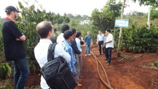 Dừng thực hiện Đề án phân tích chuỗi giá trị sản xuất chế biến – tiêu thụ một số sản phẩm công nghiệp chế biến quan trọng tỉnh Đắk Lắk đến năm 2020