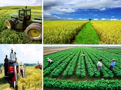 Tình hình thực hiện Chương trình nông thôn mới 6 tháng đầu năm 2016 trên địa bàn tỉnh.
