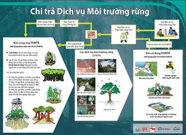 Thực hiện chính sách chi trả dịch vụ môi trường rừng