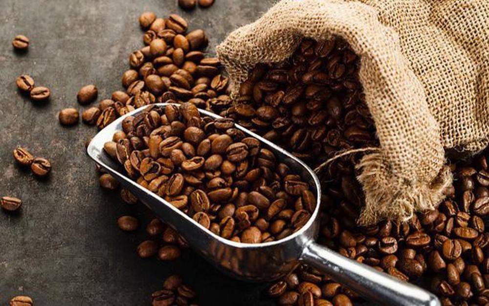 Tổ chức Hội thảo Phát triển cà phê Việt Nam chất lượng cao tại Lễ hội cà phê Buôn Ma Thuột lần thứ 8 năm 2023
