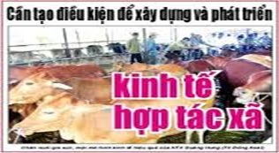 Triển khai Công văn số 5762/BNN-KTHT, ngày 06/7/2016 của Bộ Nông nghiệp và Phát triển nông thôn