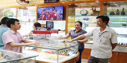 Ban hành Kế hoạch thanh tra chuyên ngành chuyên đề