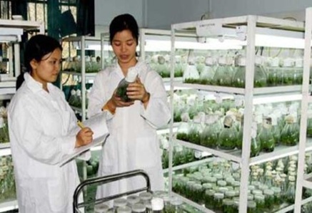 Triển khai Quyết định số 1381/QĐ-TTg ngày 12/7/2016 của Thủ tướng Chính phủ