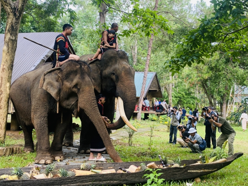Tọa đàm “Văn hoá voi trong đời sống cộng đồng buôn làng tại huyện Lắk”