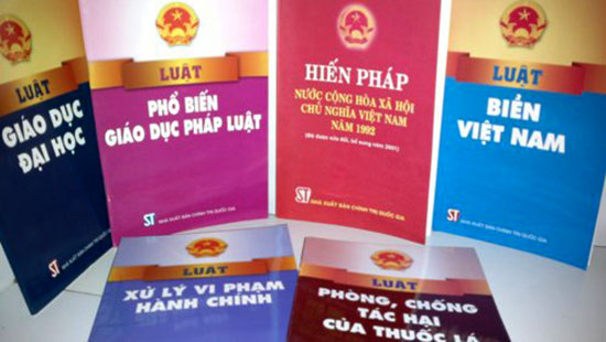 Triển khai các quy định của Luật, Nghị định có giao địa phương quy định chi tiết
