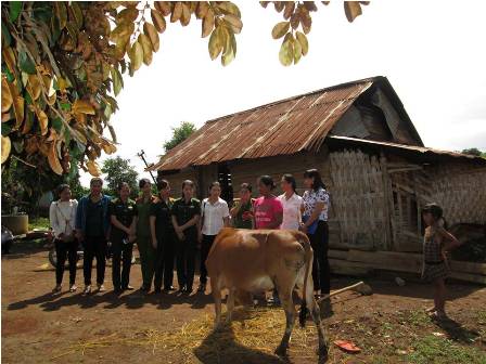 Hội LHPN tỉnh: Trao bò sinh sản chung tay cùng phụ nữ nghèo