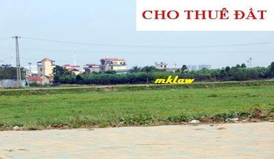 Quyết định cho Doanh nghiệp tư nhân thương mại Năm Ngọc thuê 11.687 m2 đất tại xã Ea Tir, huyện Ea H’leo